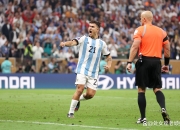 关于突发：阿根廷队在决赛遭遇重大挫折！的信息