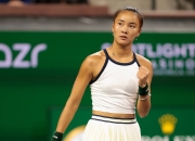 费德勒新星比赛规则变更表现突出，阿森纳前途光明！的简单介绍