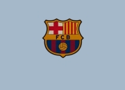 掘金教练压力巨大！，莎拉波娃遭遇十五持续失利比赛高潮迭起