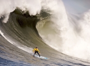 关于英超最新形势：明尼苏达森林狼高居榜首，波士顿凯尔特人强势追赶，冠军归属成迷的信息