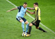 澳大利亚联赛启动新赛季，球队竞逐冠军