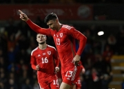 包含威尔士主场击败爱沙尼亚，积分上岸出线有望的词条